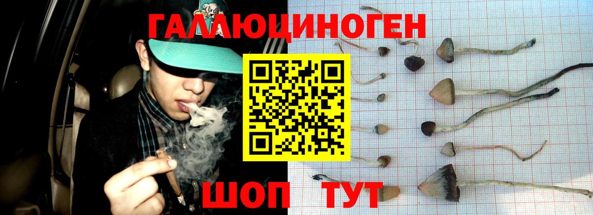 Псилоцибиновые грибы MAGIC MUSHROOMS Сызрань